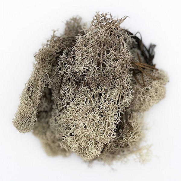 Bauble Filler – Beige Moss