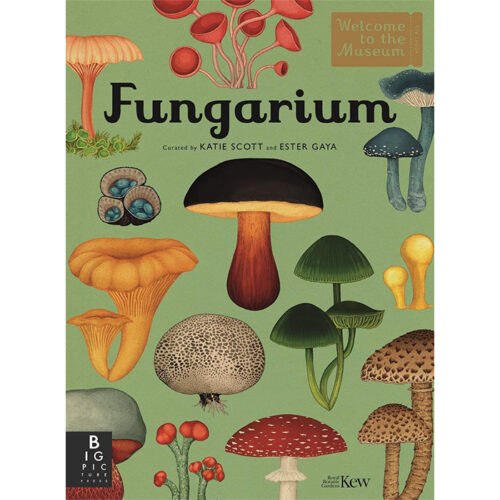 Fungarium (hub) 1