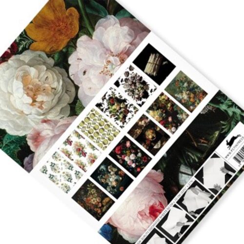 Gift & Creative Paper Book Still Life 4