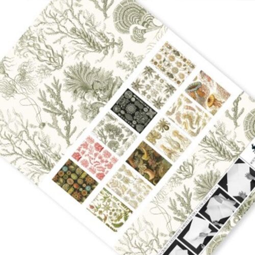 Gift & Creative Paper Book Art Forms in Nature 5