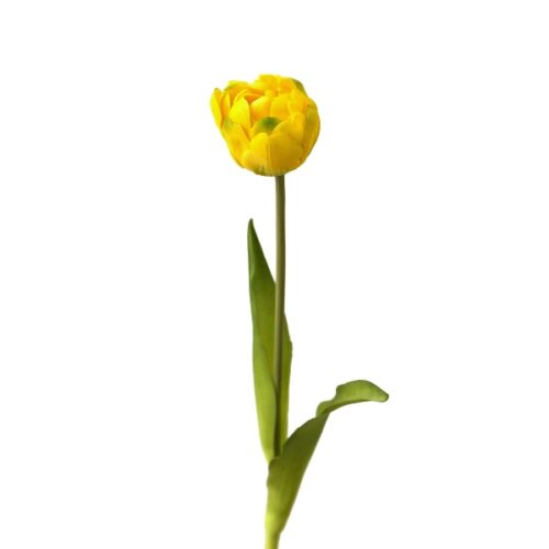Soft Touch Tulip Yellow