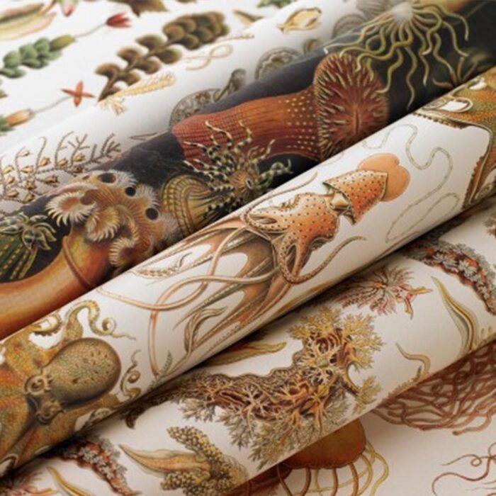 Gift & Creative Paper Book Art Forms in Nature 4