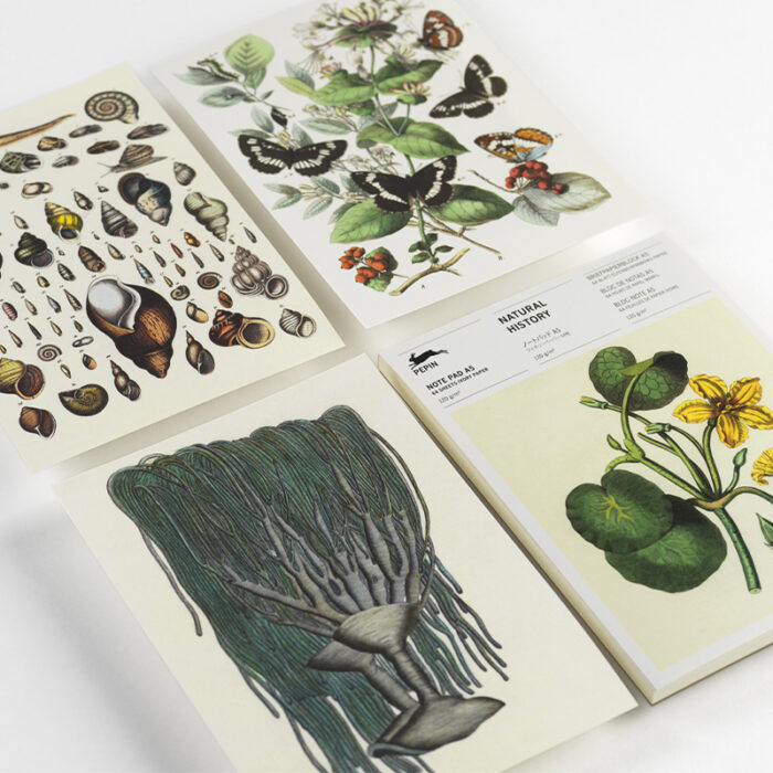 A5 Np Natural History 2