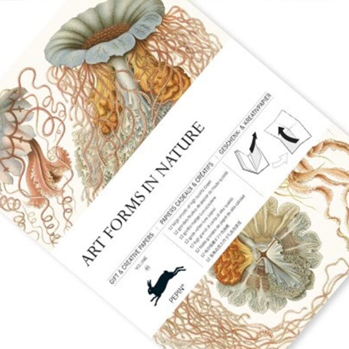 Gift & Creative Paper Book Art Forms in Nature 1