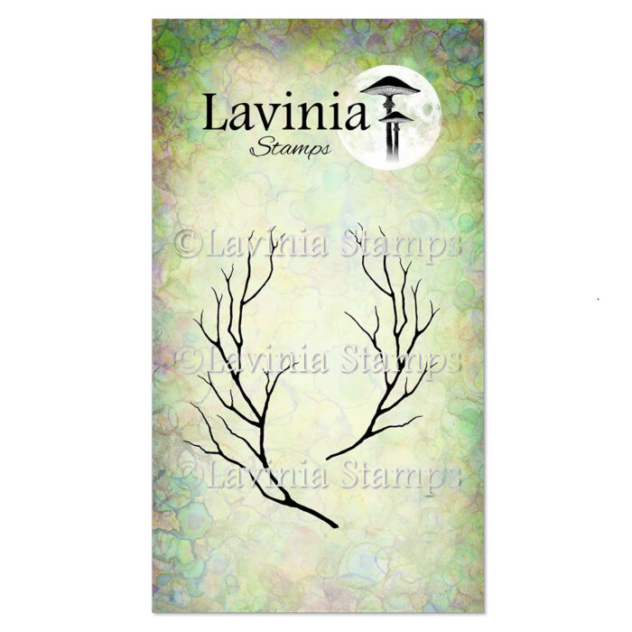 La V1007 Witch Hazel