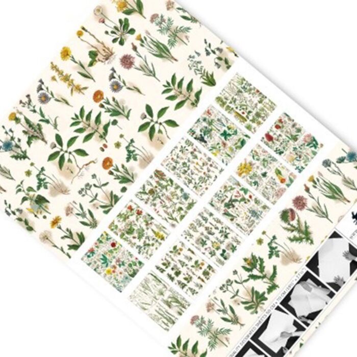 Gift & Creative Paper Book Flora 4