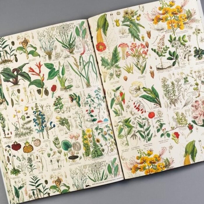 Gift & Creative Paper Book Flora 3