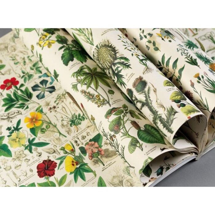 Gift & Creative Paper Book Flora 2