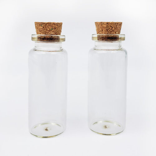 Set of 2 Glass Bottles 21 X 55