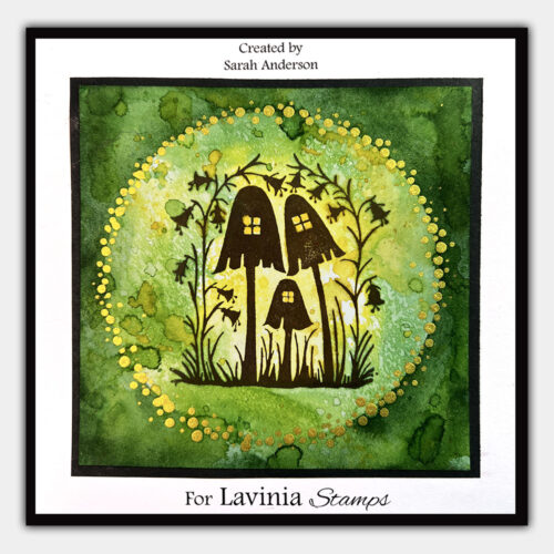 SA - Meadow Mushrooms