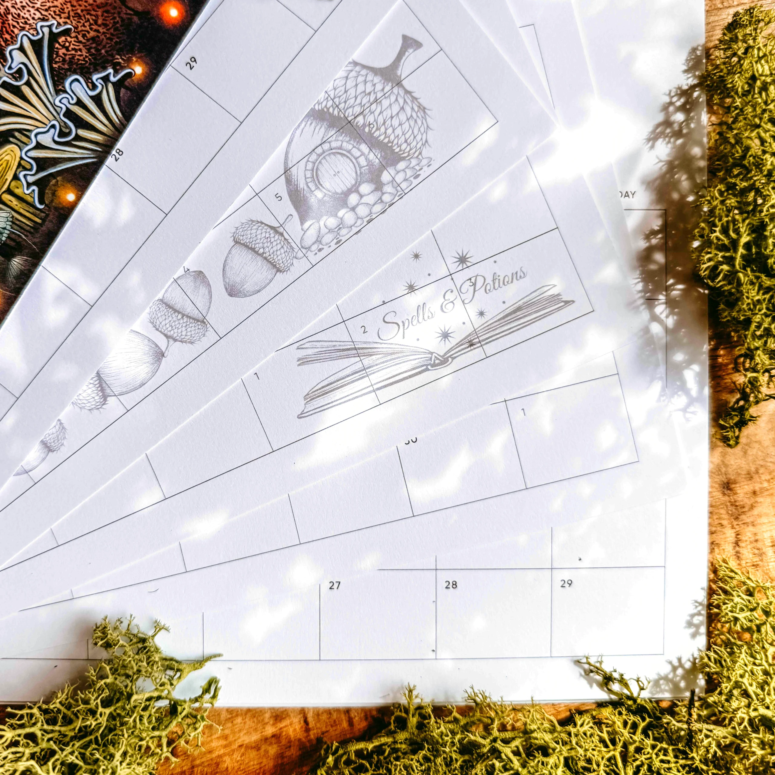 2027 Calendar 2 Gallery