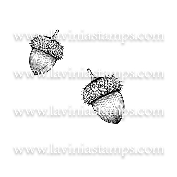 Digital Artwork - Acorns