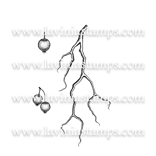 Digital Artwork - Berry Branch