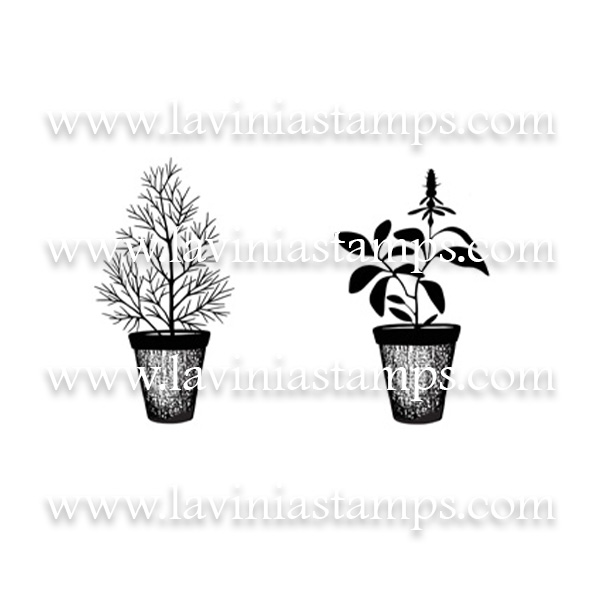 Digital Artwork - Dill & Sage Pots