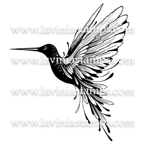 Digital Artwork - Hummingbird Large