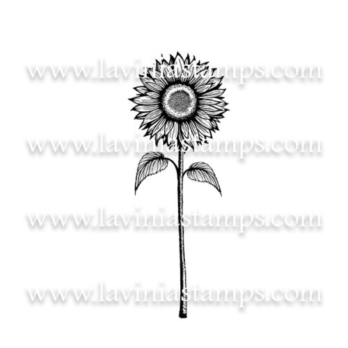 Digital Artwork - Open Sunflower