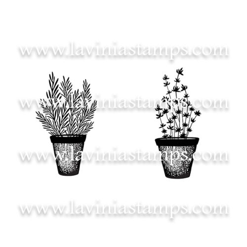 Digital Artwork - Rosemary & Thyme Pots