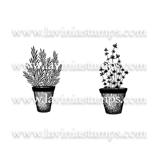 Digital Artwork - Rosemary & Thyme Pots