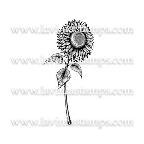 Digital Artwork - Sunflower 1