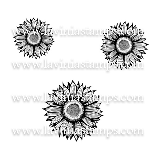 Digital Artwork - Sunflower Heads