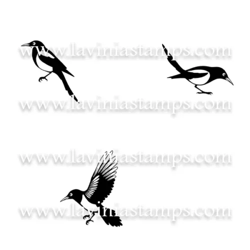 Digital Artwork - Magpies